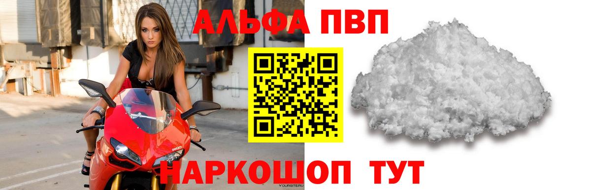 Альфа ПВП СК Можга
