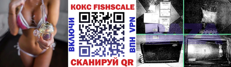 COCAIN Fish Scale  Купить  Можга 