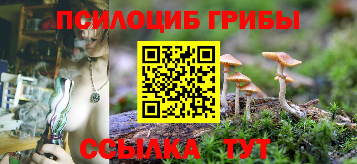 Псилоцибиновые грибы прущие грибы  Псилоцибиновые грибы Magic Shrooms  Вход с VPN  Можга 