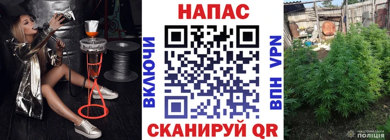 Купить  Можга  МАРИХУАНА VHQ 
